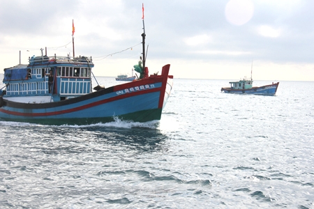 Ước 80% lái tàu cá đánh bắt xa bờ trong tỉnh đã được đào tạo và cấp chứng chỉ