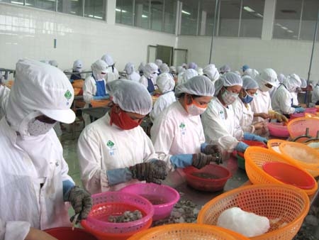 Công nhân, lao động Công ty TNHH Galant Ocean (KCN Quảng Phú) chế biến thuỷ sản đông lạnh xuất khẩu.