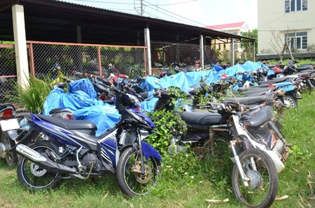Tang vật xe máy tại kho tạm giữ của Công an huyện Bình Sơn.