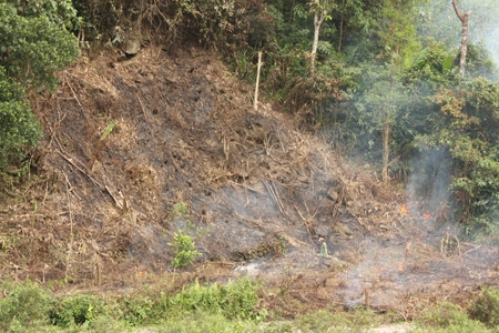 Đốt rừng làm nương rẫy là  nguy cơ dẫn đến cháy rừng.  