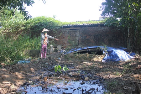 Khu vực xả thải gây ô nhiễm phía sau hộ chăn nuôi của ông Trương Văn Dương