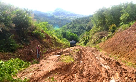  Người dân phải chặt cây để trải lên lớp bùn cho xe đi qua trên tuyến đường số 2 (Trà Thọ, Tây Trà).