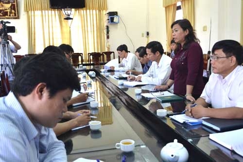  Phó Chủ tịch UBND tỉnh Đinh Thị Loan phát biểu tại buổi làm việc.