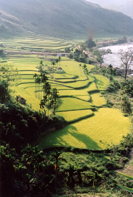 Thung lũng Bãi Mầu (Sơn Tây)