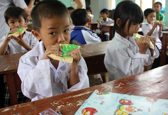 Hơn 2.000 học sinh đến từ 9 trường tiểu học ở huyện Minh Long và Ba Tơ được thụ hưởng chương trình sữa học đường