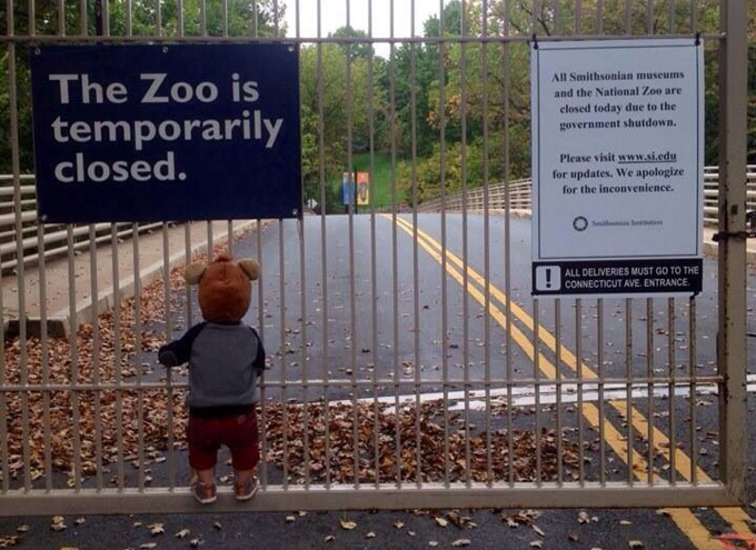  Tấm ảnh đang làm nhức nhối cả nước Mỹ: một em bé mặc đồ gấu bông thèm thuồng nhìn vào khu vườn thú bị đóng cửa tạm thời. Tấm ảnh, do bố đứa trẻ chụp, lan truyền trên mạng từ ngày 10-10 và được xem như “tấm ảnh biểu trưng của tình trạng đóng cửa chính quyền”