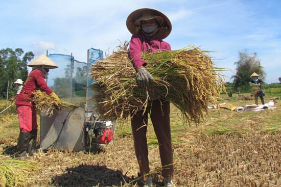 Sản xuất và thu hoạch thủ công 