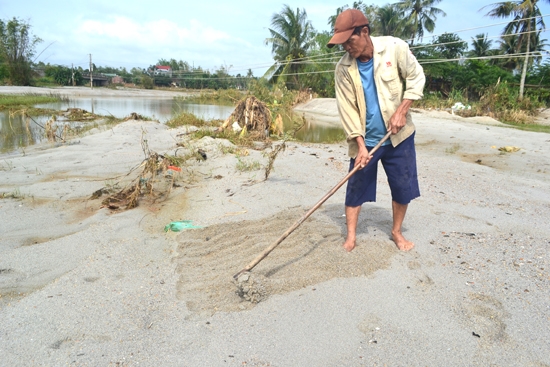 Ông Nguyễn Văn Đồng, thôn Tân Tự, xã Phổ Minh (Đức Phổ) bất lực với lớp cát dày hơn 0,5m phủ trên đám ruộng 3 sào của gia đình.                                                              Ảnh MỸ HOA
