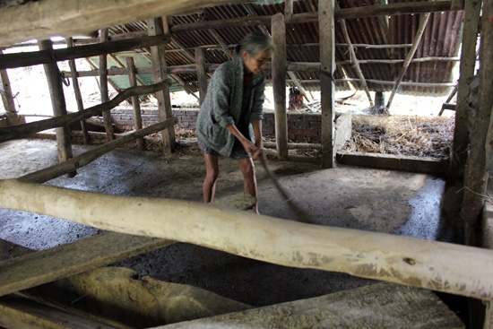 Nhiều hộ nông dân xã Hành Tín Đông lo vệ sinh chuồng trại sạch sẽ phòng dịch bệnh lây lan