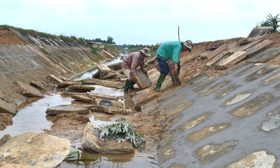 Công nhân Công ty Khai thác Công trình thủy lợi đang khắc phục lại mái của tuyến kênh đã bị nước lũ lột lớp bê tông trước đó.