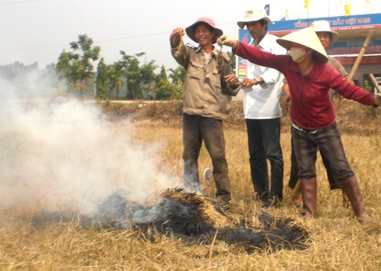 Nông dân Sơn Tịnh ra quân diệt chuột ngay từ đầu vụ đông xuân 2013-2014.
