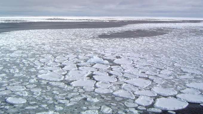 Ước tính đáy biển Bắc Cực chứa 90 tỷ thùng dầu - Ảnh: Science