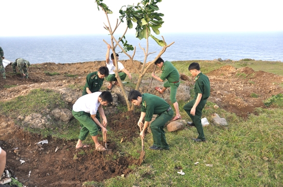 ĐVTN đảo Lý Sơn trồng cây xanh trên núi Thới Lới.