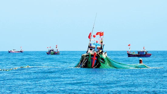 Tàu cá ngư dân Sa Huỳnh đánh mẻ lưới đầu xuân.
