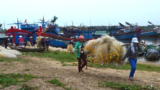 Ngư dân các vùng bãi ngang hối hả soát lưới, dong thuyền ra khơi đánh bắt vụ chính.