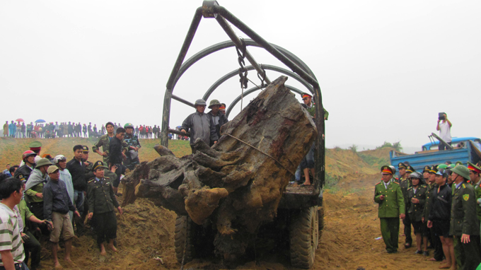 Xe chở khúc gỗ sưa về kiểm lâm huyện Bố Trạch - Ảnh: Quốc Nam