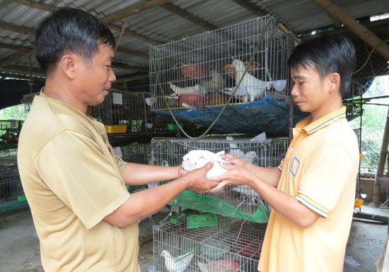 Anh Thắng (bên phải) bán chim giống cho khách hàng