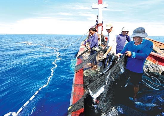 Ngư dân Quảng Ngãi đánh bắt cá trên biển.                                                                                                                         Ảnh: MINH THU