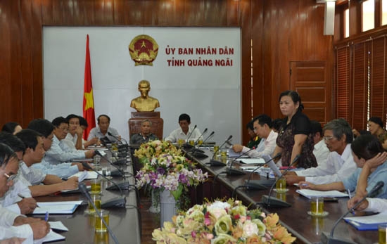 Phó Chủ tịch UBND tỉnh Đinh Thị Loan phát biểu tại cuộc họp.