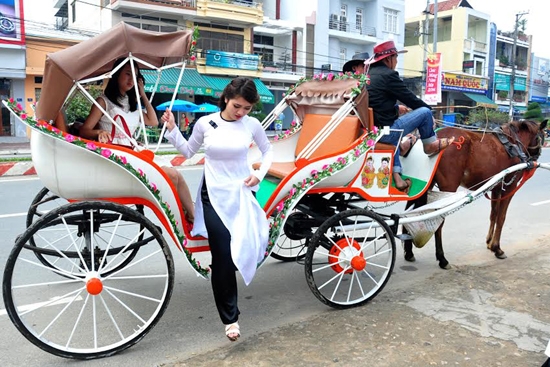 Tái hiện hình ảnh xe ngựa trong dịp Tết Giáp Ngọ 2014 .                                     Ảnh :MINH THU