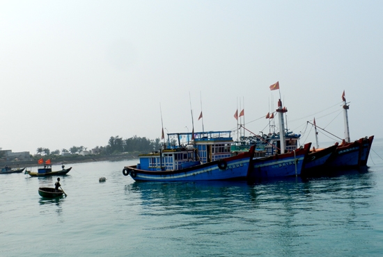 Nguồn vốn Ngân hàng Agribank đã giúp ngư dân Lý Sơn nâng cấp, đóng mới tàu lớn vươn khơi.