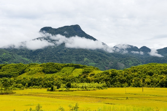 Núi Cao Muôn - Ba Tơ.                                                                                                         Ảnh: Văn Xuân