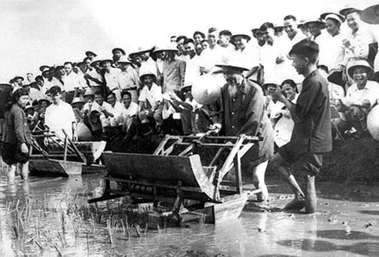 Bác Hồ đến thăm hội nghị phổ biến máy cấy công cụ cải tiến ở Từ Liêm, Hà Nội, tháng 7-1960.                                                      Ảnh: TL