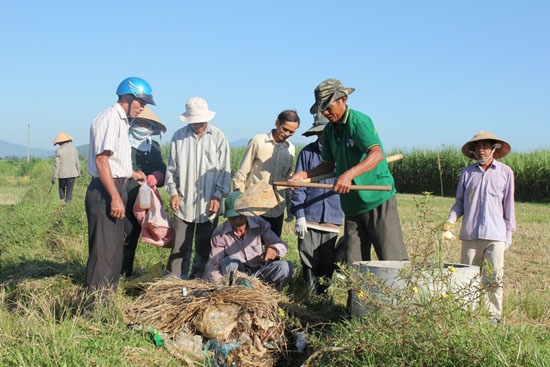 CCB xã Nghĩa Thuận đã tổ chức thu gom rác thải thuốc bảo vệ thực vật trên các cánh đồng (ảnh chụp vào sáng 10.9.2014).