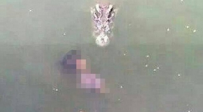  Bức ảnh ghi lại cảnh con cá sấu đang lao vào người phụ nữ. (Nguồn: Bangkok Post)