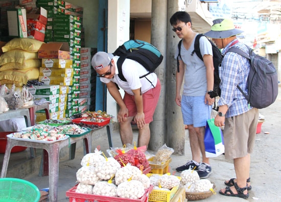 Du khách Hàn Quốc tham quan đảo và hỏi mua tỏi Lý Sơn.