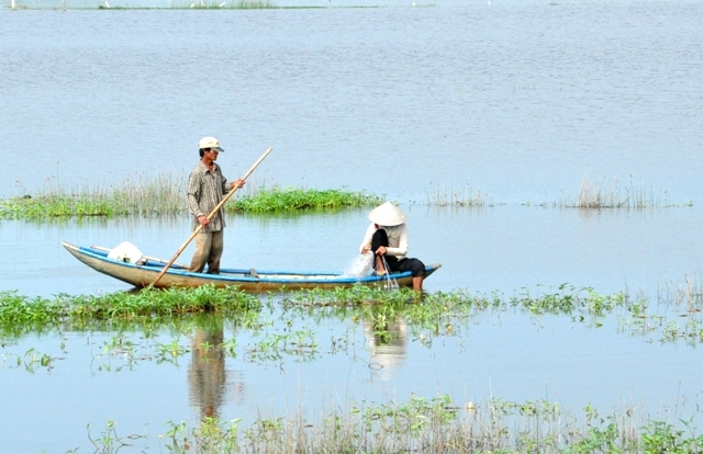 Thả lưới đánh bắt cá mưu sinh là nghề của không ít người sống ở vùng ruộng đồng