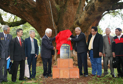 Lễ công nhận Cây di sản Quốc gia cho 2 cây Long não tại Biệt Điện Bảo Đại