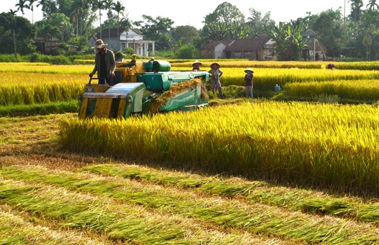 Dồn điền đổi thửa giúp đẩy mạnh cơ giới hóa đồng ruộng.