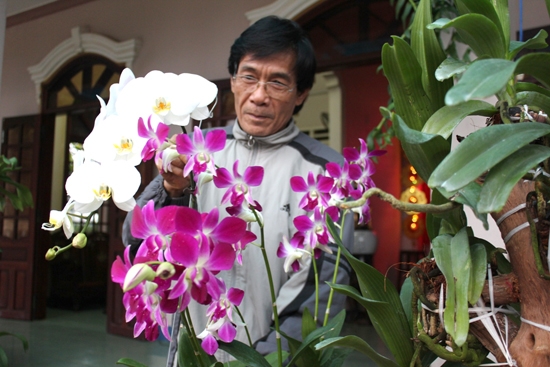 Ông Võ Thanh Tùng giới thiệu một số giống lan trong vườn