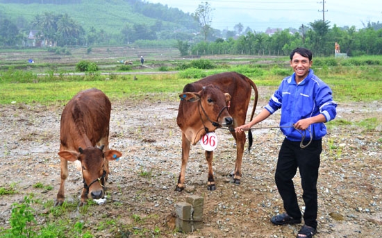 Niềm vui của người dân Trà Bồng khi nhận bò giống.