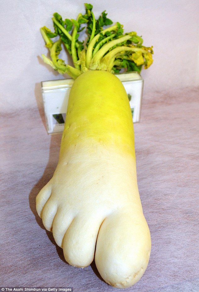 Củ cải trông giống hệt bàn chân một người trưởng thành - Ảnh: Getty Images