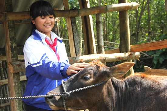 Em Đinh Thị Thơm vui mừng khi được hỗ trợ bò.