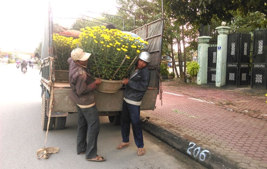 Nhiều người tranh thủ chở hoa cho khách để kiếm tiền trang trải cho ngày Tết.