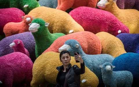 Hình tượng Cừu ở Hong Kong trong dịp Tết âm lịch (ảnh: Getty Images)