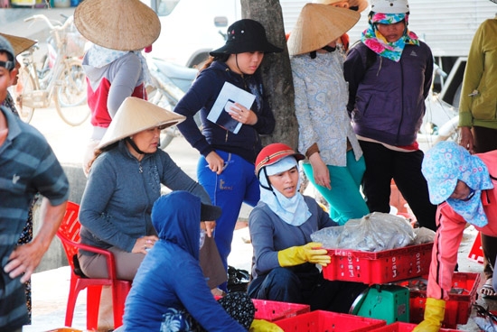 Tàu cá của ngư dân xã Bình Châu (Bình Sơn) đánh bắt được nhiều hải sản trong những ngày đầu năm.