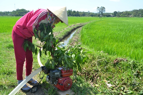 Người dân tại xứ đồng Trung Tín đang bơm nước “cứu” lúa.                                                 Ảnh: Ý Thu