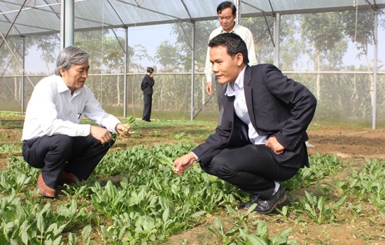 Phó Chủ tịch Thường trực UBND tỉnh Lê Quang Thích (bên trái) tham quan mô hình sản xuất rau sạch của Công ty QNASAFE.
