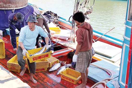 Nghề đánh bắt hải sản mang lại thu nhập ổn định cho người dân các xã ven biển.