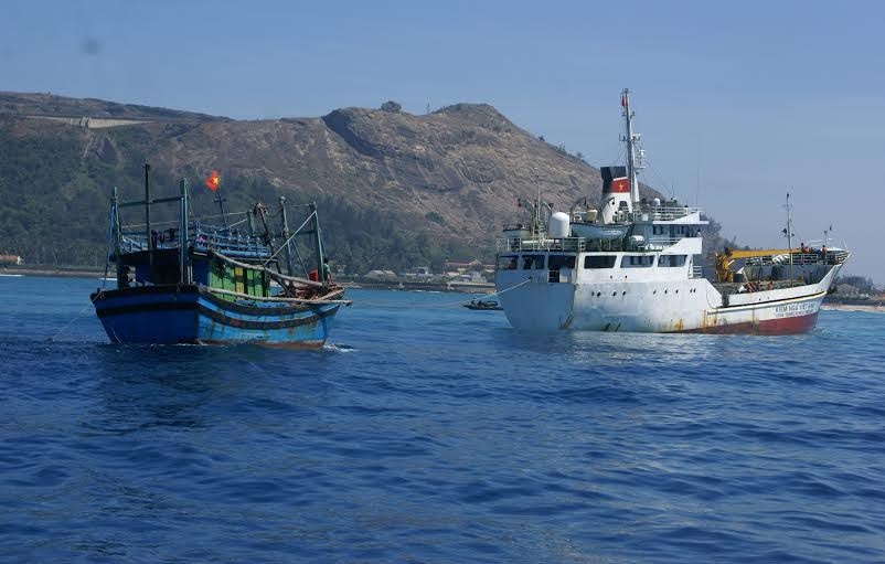 Tàu 629 lai dắt tàu cá BĐ 97150 TS về đến đảo Lý Sơn an toàn.
