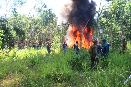 Lực lượng PCCCR xã Nghĩa Thắng cùng với lực lượng PCCCR huyện Tư Nghĩa và Chi cục Kiểm lâm tỉnh tham gia diễn tập chữa cháy rừng tại thôn An Hòa Nam.                                               Ảnh: N.K