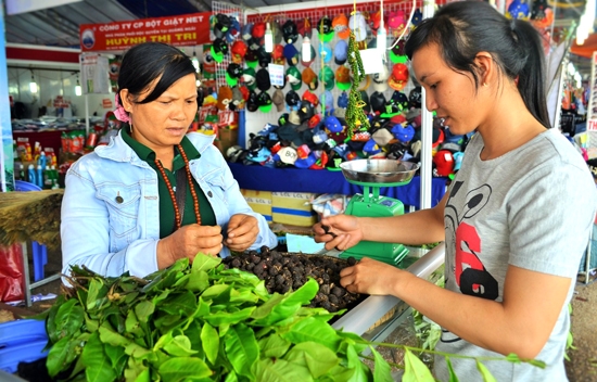 Sa nhân tím, chè Minh Long…thu hút được sự quan tâm của khách hàng tại Festival Nông nghiệp và làng nghề miền Trung 2015.