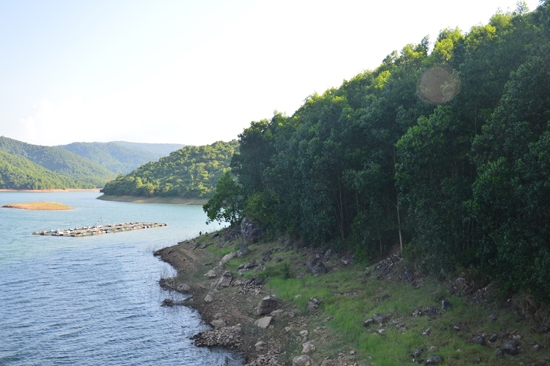 Xung quanh hồ chứa nước Liệt Sơn (Đức Phổ) là những khu rừng nghèo, tạo nguồn sinh thủy rất ít.