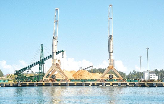 Xuất khẩu gỗ dăm tại cảng Gemadept Dung Quất.                                                Ảnh: H.T