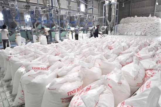Sản phẩm tinh bột mì của APFCO được đóng gói để xuất khẩu. Ảnh: H.H