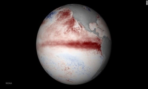 Vùng màu đỏ trong hình chụp từ vệ tinh chỉ ra vùng nước biển nóng hơn bình thường. 